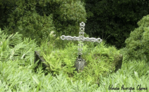 Blog | astro Ancestral